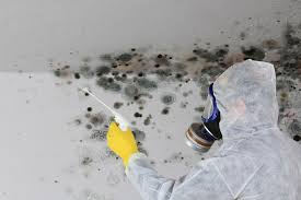 Uhrichsville, OH Mold Inspection Company